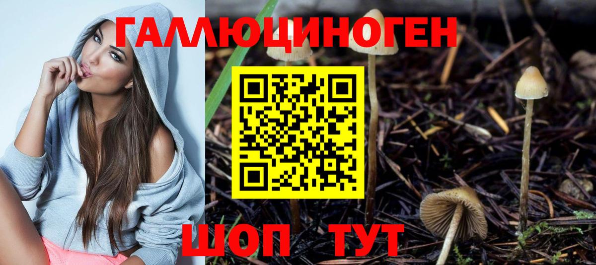 Галлюциногенные грибы Cubensis Шелехов