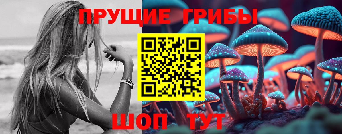 Шелехов  где купить   Псилоцибиновые грибы Magic Shrooms  Вход с VPN  Псилоцибиновые грибы мицелий 