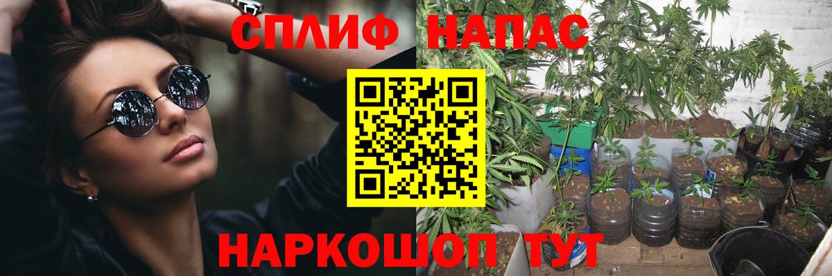 Шишки марихуана Ganja  Вход с VPN  Шелехов  Шишки марихуана White Widow 